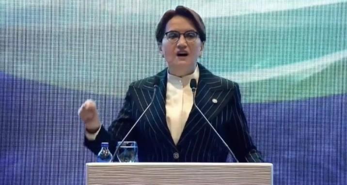 AKŞENER: “İnsan Hakları ve Doğu Türkistan” konulu toplantıda konuştu